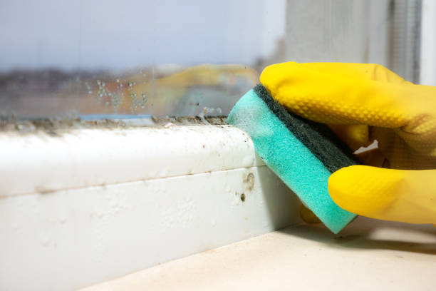 Mold Removal and Inspection in Cape St Claire, MD